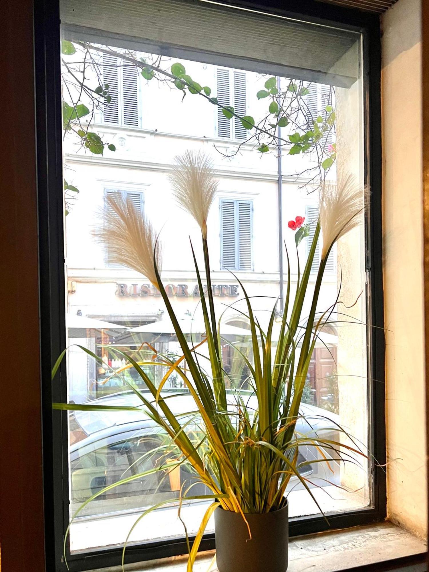 Romantic Wellness Apartment Colosseo Exteriér fotografie